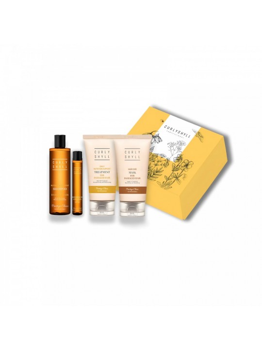 Набір для відновлення волосся Hair Repair Set Curly Shyll